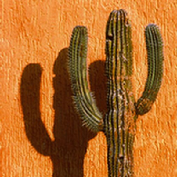 Meet your Posher, Kristi - Picture 2 of 7